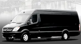 Ford Transit Executive Van